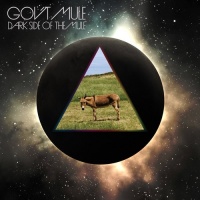 Evil Teen Records Gov'T Mule - Dark Side of the Mule Photo