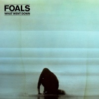 Warner Bros Wea Foals - What Went Down Photo