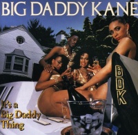 Warner Bros Wea Big Daddy Kane - It's a Big Daddy Thing Photo