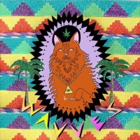 Fat Possum Records Wavves - King of the Beach Photo