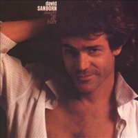 Warner Bros Wea David Sanborn - Straight to the Heart Photo