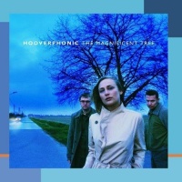 Sony Hooverphonic - Magnificent Tree Photo