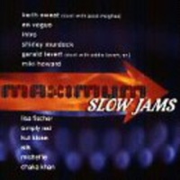 Elektra Wea Maximum Hits: Slow Jams / Various Photo