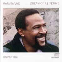 Sony Marvin Gaye - Dream of a Lifetime Photo