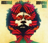 Shanachie Incognito - Amplified Soul Photo
