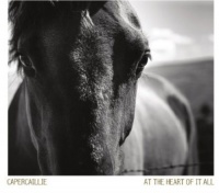 Compass Records Capercaillie - At the Heart of It All Photo