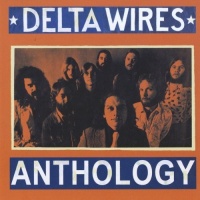 CD Baby Delta Wires - Anthology Photo