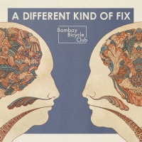 Am Octone Bombay Bicycle Club - Different Kind of Fix Photo