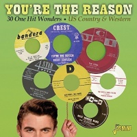 Imports You'Re the Reason: 30 One Hit Wonders / Various Photo
