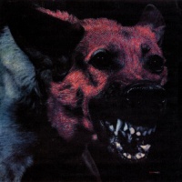 Hardly Art Protomartyr - Under Color of Official Right Photo