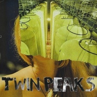 Autumn Tone Records Twin Peaks - Sunken Photo