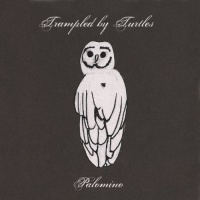 Banjodad Records Trampled By Turtles - Palomino Photo