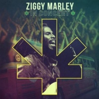 Tuff Gong Worldwide Ziggy Marley - Ziggy Marley In Concert Photo