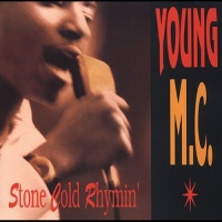 Delicious Vinyl Young Mc - Stone Cold Rhymin Photo