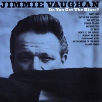Imports Jimmy Vaughan - Do You Get the Blues? Photo