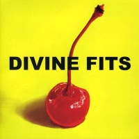 Merge Records Divine Fits - Thing Called Divine Fits Photo