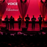 Voice Male Music Voice Male - Christmas Live Photo