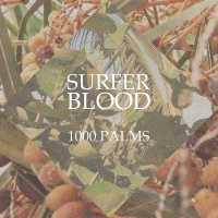Joyful Noise Records Surfer Blood - 1000 Palms Photo