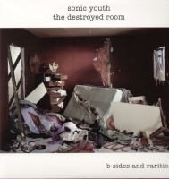 Goofin Sonic Youth - Destroyed Room: B-Sides & Rarities Photo
