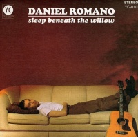 YouVe Changed Daniel Romano - Sleep Beneath the Willow Photo