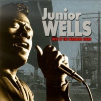 Vanguard Records Junior Wells - Best of Vanguard Years Photo