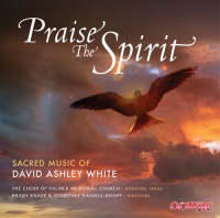 Gothic Records David Ashley White - Praise the Spirit Photo