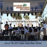 CD Baby Roger 'Hurricane' Wilson - Live At the 2012 Amelia Island Blues Festival Photo