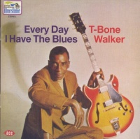 Imports T-Bone Walker - Every Day I Have the Blues Photo