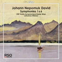 Cpo Records David / Orf Radio-Symphonieorchester Wien - Symphonies 1 & 6 Photo