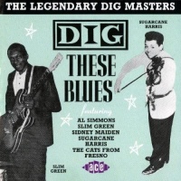 Ace Records UK Dig These Blues 2: Legendary Dig Masters / Various Photo
