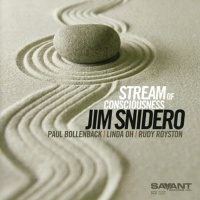 Savant Jim Snidero - Stream of Consciousness Photo