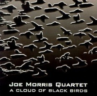 Aum Fidelity Joe Morris - Cloud of Black Birds Photo