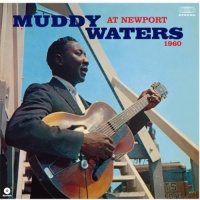 Muddy Waters - At Newport 1960 Photo
