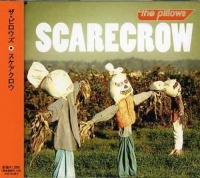 Imports Pillows - Scarecrow Photo