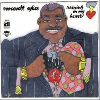 Delmark Roosevelt Sykes - Raining In My Heart Photo