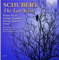Brilliant Classics Schubert / Berlin Philharmonic Octet - Last Years / Piano Trios Photo