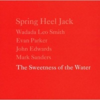 Thirsty Ear Spring Heel Jack - Sweetness of the Water Photo