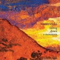 Constellation Tindersticks - Falling Down a Mountain Photo