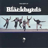 Beat Goes Public Bgp Blackbyrds - Best of Blackbyrds Photo