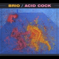 CD Baby Brio - Acid Cock Photo