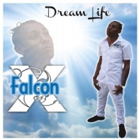 CD Baby Falcon X - Dream Life Photo