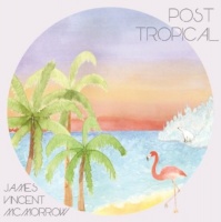 Imports James Vincent Mcmorrow - Post Tropical Photo