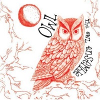 Imports Owl Ensemble - Owl Photo