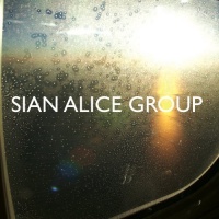The Social Registry Sian Alice Group - Troubled Shaken Etc Photo