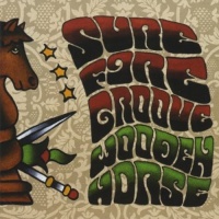 CD Baby Sure Fire Groove - Wooden Horse Photo
