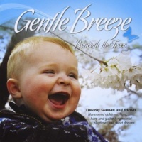 CD Baby Timothy Seaman - Gentle Breeze Beneath the Trees Photo
