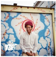 Toro Y Moi - What For? Photo