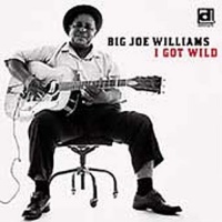 Delmark Big Joe Williams - I Got Wild Photo