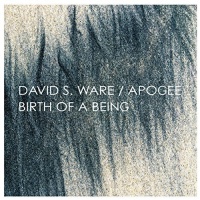 Aum Fidelity David S. Ware - Apogee / Birth of a Being Photo