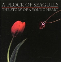 Cherry Pop Flock of Seagulls - Story of a Young Heart Photo